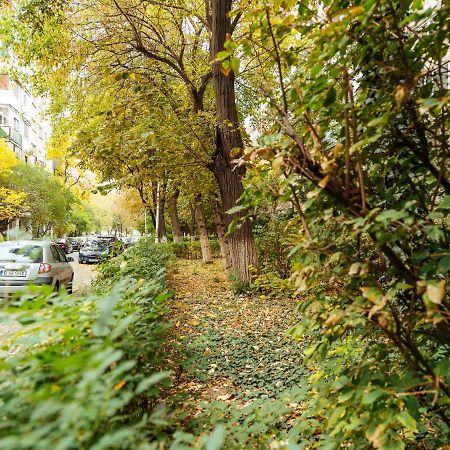 Woody - Cozy And Quiet Place Near Moghioros Park Bucharest Exterior photo